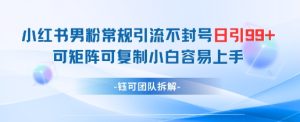 小红书男粉常规引流不封号日引99+变现简单 可矩阵可复制小白容易上手-21资源库