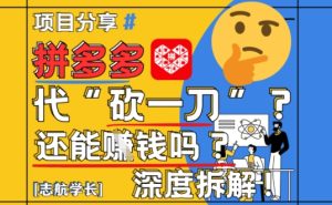 【2025最新】拼多多代坎助力项目深度拆解:还能挣钱吗?全流程玩法-21资源库