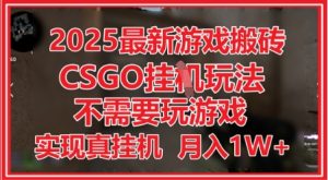 2025最新游戏搬砖,CSGO挂G,不需要玩游戏,实现真挂G,月入1W+【揭秘】-21资源库