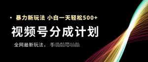 视频号分成计划,全网最暴力玩法,新手一天也能轻松5张+-21资源库