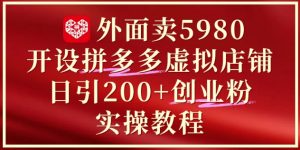 外面卖5980开设拼多多虚拟店铺:单日引流200+创业付费粉实战教程-21资源库
