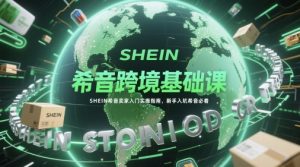 希音跨境基础课，SHEIN希音卖家入门实操指南，新手入坑希音必看-21资源库