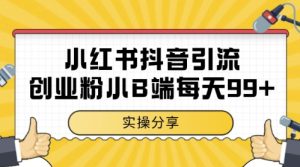 小红书抖音创业粉，小B端粉自热，日引99+的一个玩法【揭秘】-21资源库