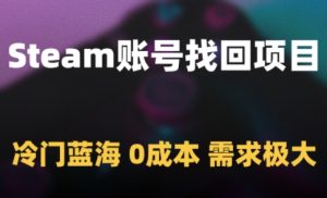 Steam账号找回项目，冷门蓝海，0成本，需求极大-21资源库
