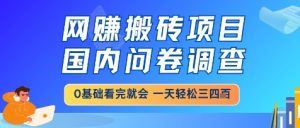 网创搬砖项目,国内问卷调查,小白轻松上手,一天三四张的也不难,干就完了【揭秘】-21资源库