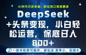DeepSeek+头条变现,保姆级教学,小白轻松上手,日入8张+【揭秘】-21资源库