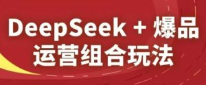 DeepSeek+爆品运营组合玩法，2025淘系精品课-21资源库