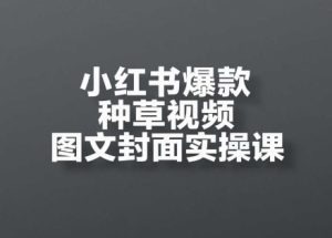 小红书爆款种草视频图文封面实操课,开店、选品、引流、变现全流程-21资源库