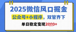 2025微信风口掘金,公众号+小程序双管齐下,单日稳定变现1k+【揭秘】-21资源库