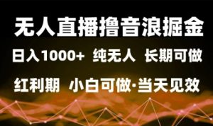 无人直播撸音浪掘金，日入1k+，纯无人红利期，小白可做，当天见效【揭秘】-21资源库