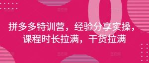 拼多多特训营,经验分享实操,课程时长拉满,干货拉满(更新25年4月)-21资源库