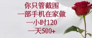 你只管截图，一部手机在家可以做，一小时120.一天5张+【揭秘】-21资源库
