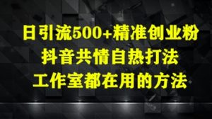 日引流500+精准创业粉,抖音共情自热打法,工作室都在用的方法-21资源库