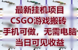 最新挂G项目,CSGO游戏搬砖,手机可做,无需电脑,当日见收益【揭秘】-21资源库