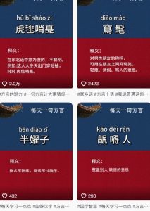 抖音最新涨粉玩法，图文方言暴力涨粉实操，126作品涨粉11W-21资源库