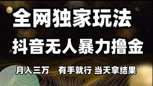 全网独家玩法抖音无人暴力撸金,月入3W,有手就行,当天拿结果【揭秘】-21资源库