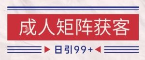 小红书某音橙人赛道引流获客,自热矩阵日引200+【揭秘】-21资源库