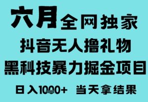 25年6月高爆抖音无人直播最新撸音浪掘金项目，门槛低小白可做，无脑日入1k，可矩阵放大【揭秘】-21资源库