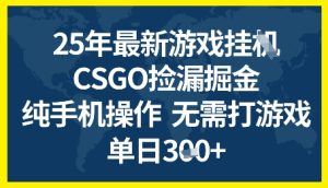 25年CSGO游戏搬砖，全自动挂G，不需要玩游戏，手机操作日入3张+【揭秘】-21资源库