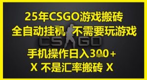 25年CSGO游戏搬砖，全自动运行，不需要玩游戏，手机操作日入3张(不是汇率搬砖)【揭秘】-21资源库