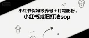 小红书保姆级养号+打减肥粉，小红书减肥打法sop-21资源库