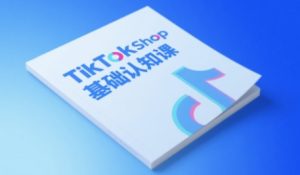 TikTok小店基础认知课，助力学员从 0 到 1 掌握 TikTok 电商运营全链路认知-21资源库