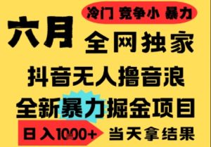 25年6月高爆抖音无人直播最新撸音浪掘金项目,小白可做,无脑日入1k+,门槛低可批量矩阵【揭秘】-21资源库