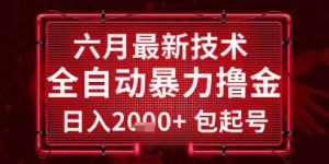 六月最新技术全自动暴力撸金,稳定日入2k+包起号,长期稳定【揭秘】-21资源库