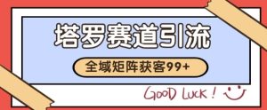 小红书某音塔罗赛道引流获客 自热矩阵日引200+【揭秘】-21资源库