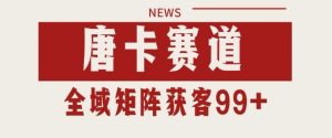 小红书某音唐卡赛道引流获客 自热矩阵日引200+【揭秘】-21资源库