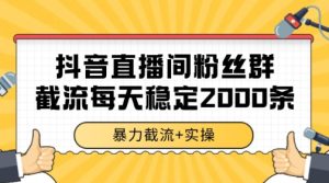 抖音直播间粉丝群暴力截流，一台电脑每天稳定2000条数据【揭秘】-21资源库