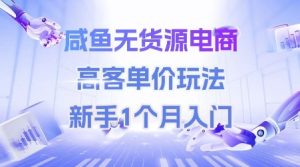 咸鱼无货源电商,高客单价玩法,新手1个月入门-21资源库