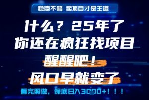 什么?25年你还在疯狂找项目做,醒醒吧,看完这些你全都懂了!【揭秘】-21资源库