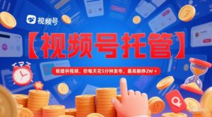 【视频号托管 】我提供视频,你每天花5分钟发布,最高躺挣2W+【揭秘】-21资源库