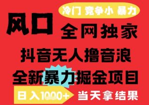25年6月高爆抖音无人直播最新撸音浪掘金项目,解放双手小白可做,无脑日入1k+,门槛低【揭秘】-21资源库