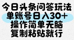 今日头条问答玩法,单账号日入30+,操作简单无脑复制粘贴就行-21资源库