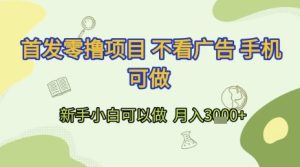 首发零撸项目 不看广告 手机可做 新手小白可以做  月入3k+【揭秘】-21资源库