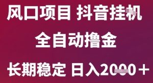 风口项目,六月最新玩法抖音无人挂G,全自动撸金,长期稳定 日入2k+【揭秘】-21资源库
