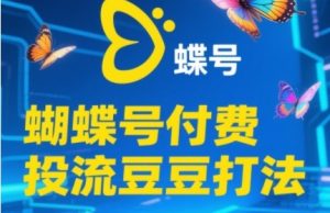 2025蝴蝶号付费投流豆豆打法，助新手快速掌握付费流量撬动自然流的核心玩法-21资源库
