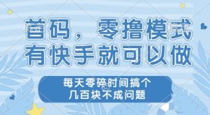 首码零撸项目,有快手就可以做,每天业务时间搞个几张不是问题【揭秘】-21资源库