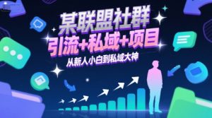 某联盟社群,引流+私域+项目,从新人小白到私域大神-21资源库