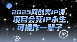 2025网创类IP课，项目会死IP永生，可操作一辈子-21资源库