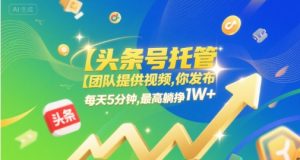 【头条号托管 】团队提供视频,你发布,每天5分钟,最高躺挣1W+【揭秘】-21资源库