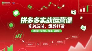 拼多多实战运营课,实时玩法,爆款打造,改销量,补大单,AB单,直播等(更新2025月)-21资源库
