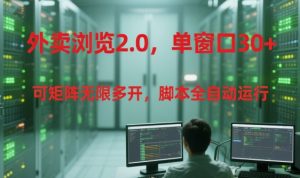 外卖浏览2.0,单窗口30+可矩阵无限多开,脚本全自动运行【揭秘】-21资源库