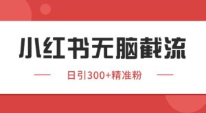 小红书截流同行客源，独家野路子获客玩法 日引200+暴力获客【揭秘】-21资源库