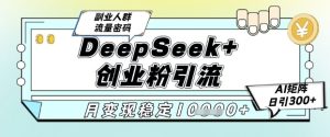 DeepSeek+创业粉精准引流,全新分享课4.0玩法,AI矩阵日引300+,多种变现方式,稳定月入1W-21资源库