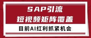 小红书某音sap赛道引流获客 自热矩阵日引200+【揭秘】-21资源库