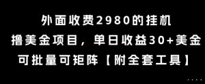 外面收费2980的挂G撸美金项目，单日收益30+美金，可批量可矩阵【揭秘】-21资源库