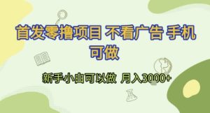 首发零撸项目 不看广告 手机可做 新手小白可以做  月入3k+【揭秘】-21资源库